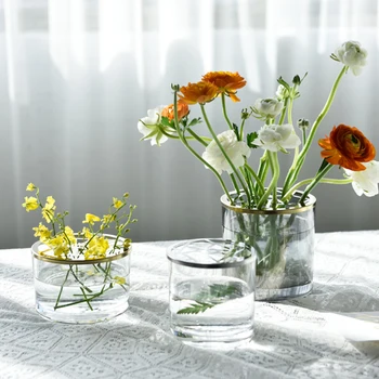 Nordic Decoration Home Прозрачная Гидропонная Ваза для сухих цветов, Стаканы, Вазы для растений, Декораторские стаканы, Террариум для гостиной