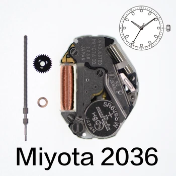 Механизм Miyota 2036 Кварцевые аксессуары для часов Высота ремонта деталей Обеспечивает преимущество дизайна Глубина циферблата 3 стрелки С более высокими